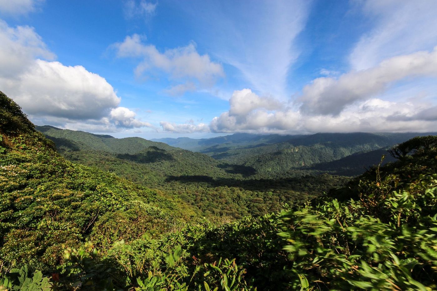 Costa Rica Monteverde Cloud forest