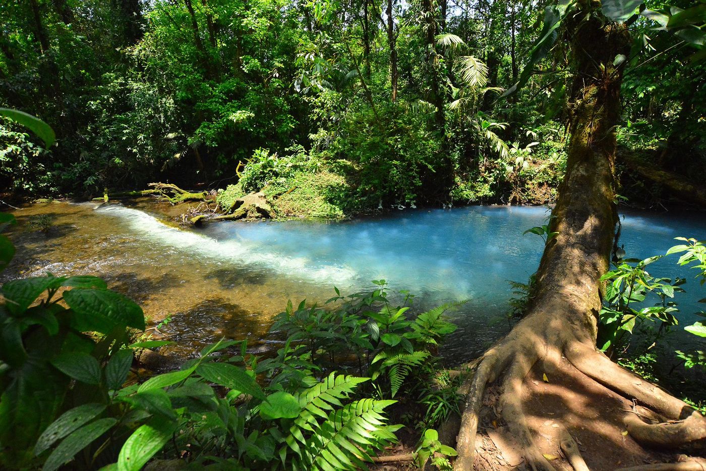 Costa Rica Parc national du volcan Tenorio Rio Celeste