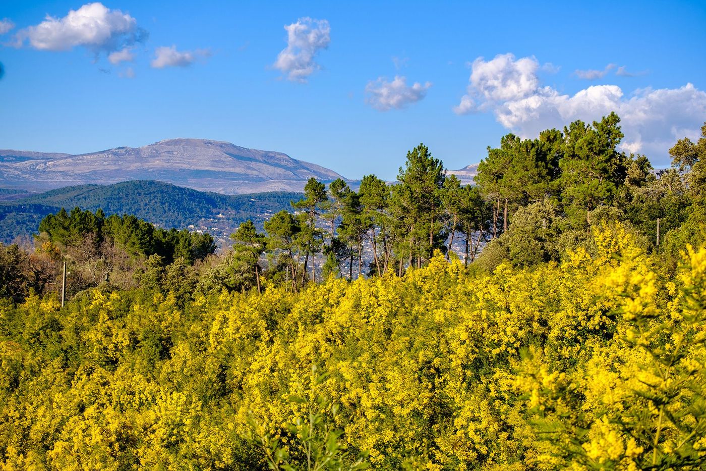 Côte d'Azur Massif du Tanneron