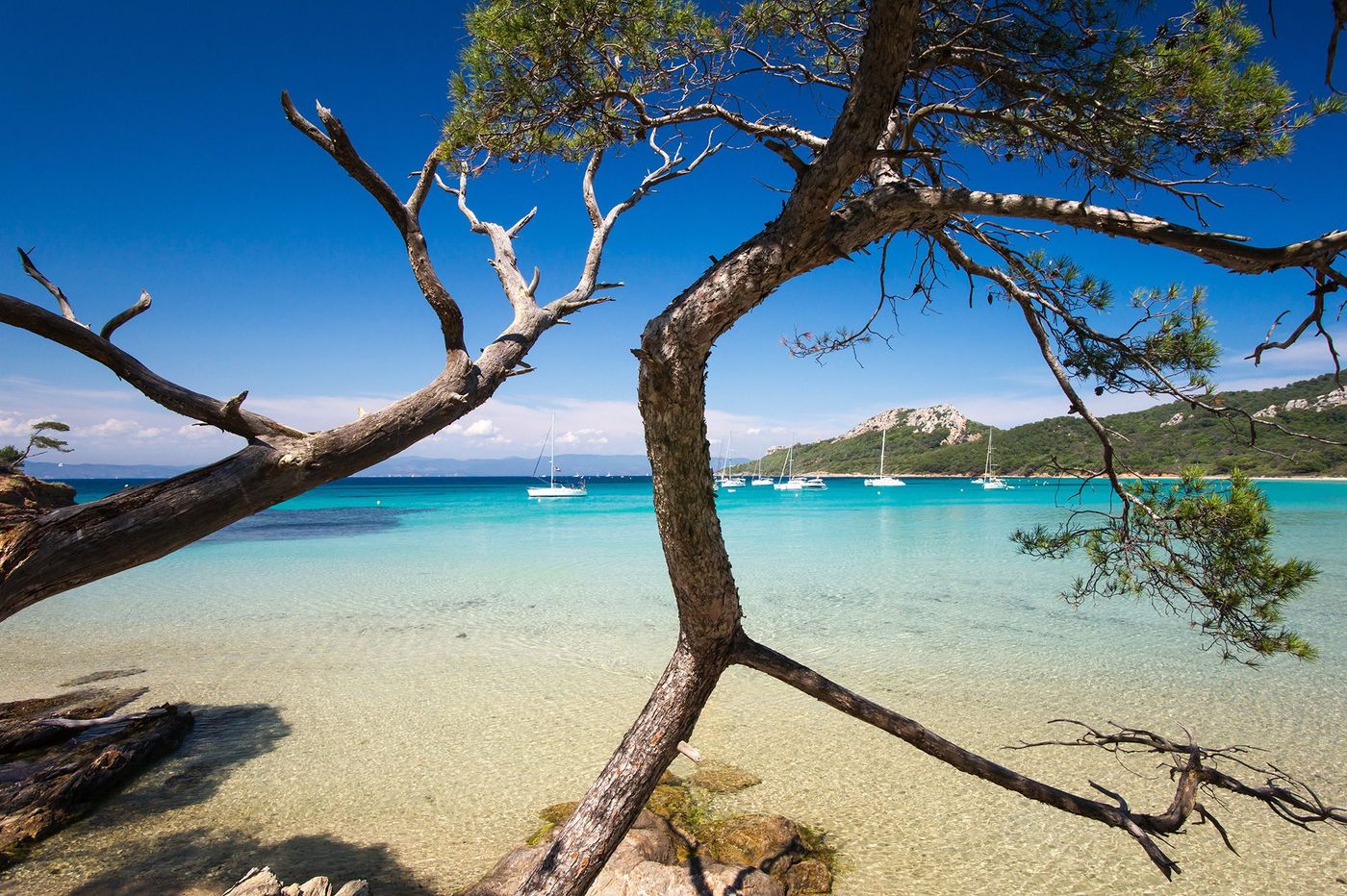 Côte d'Azur Porquerolles Plage de Notre Dame