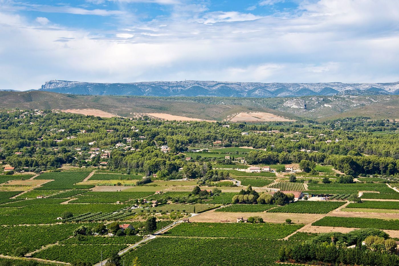 Côte d'Azur Bandol Vignoble