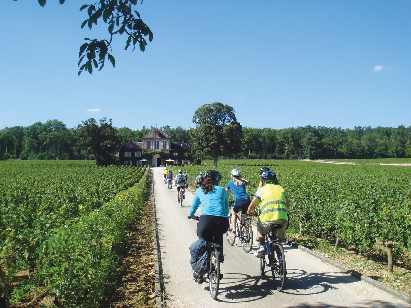 Côte d'Or Vélo