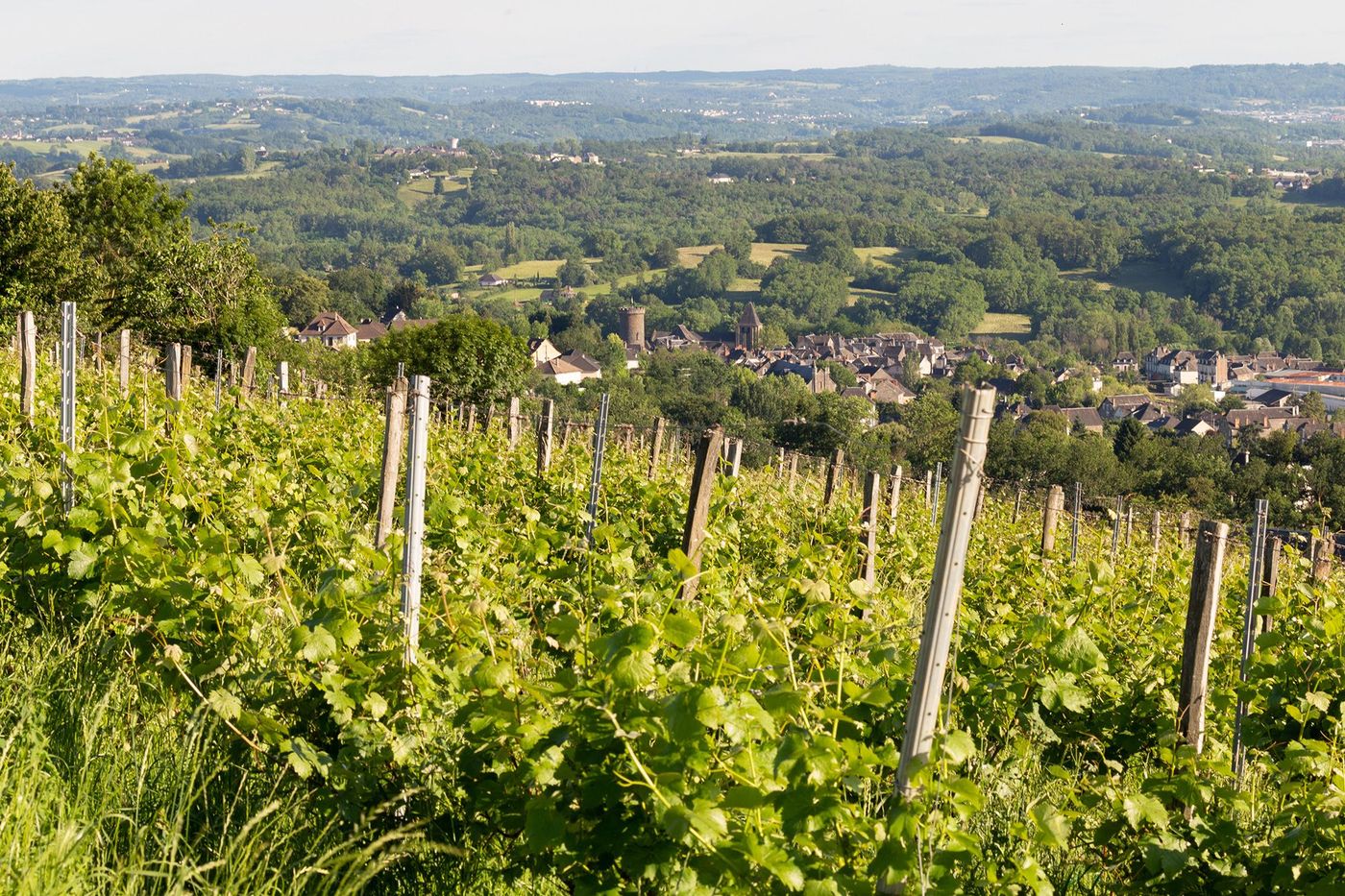 Coteaux de la Vézère