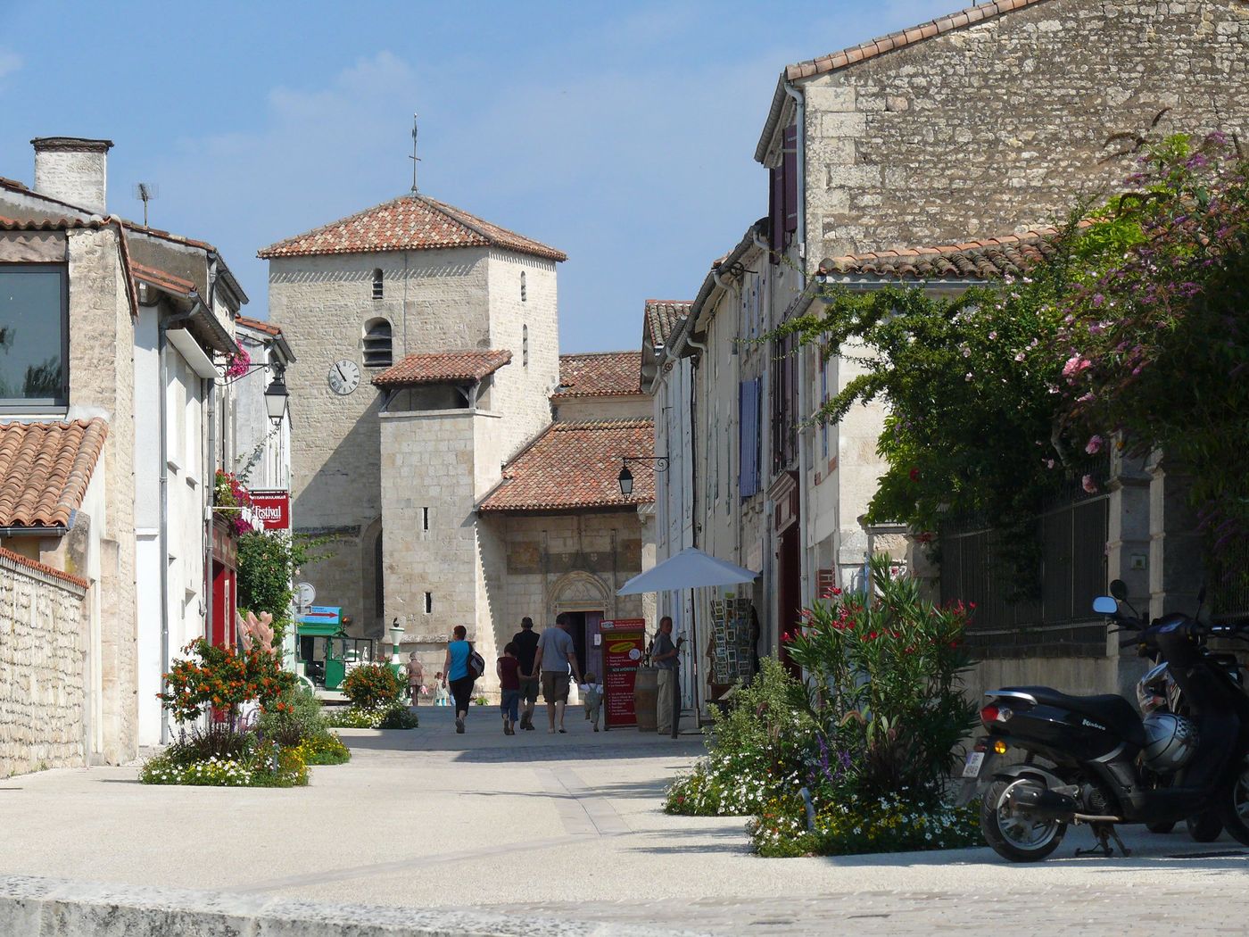 France Marais poitevin Coulon