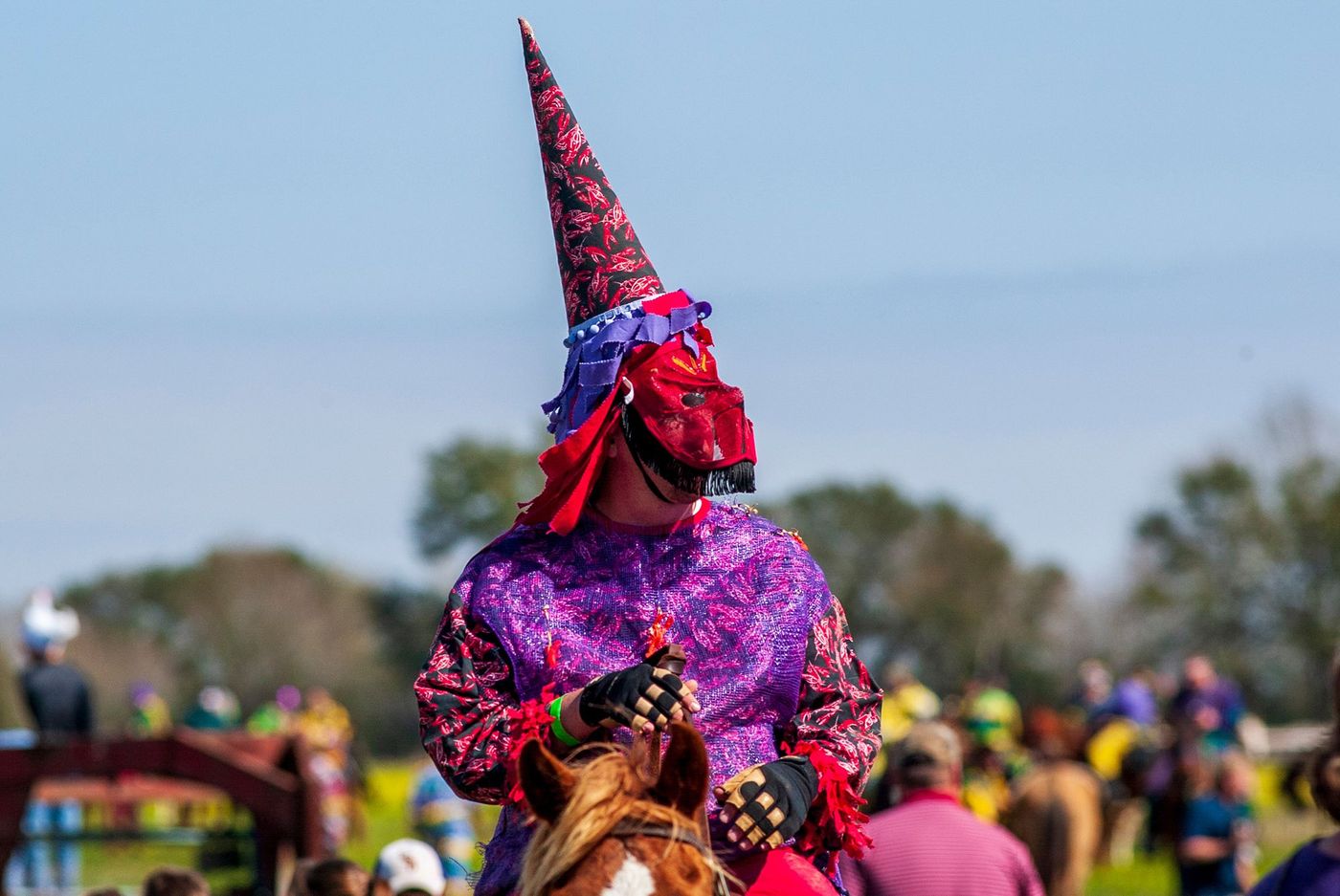Courir de Mardi Gras - Mamou