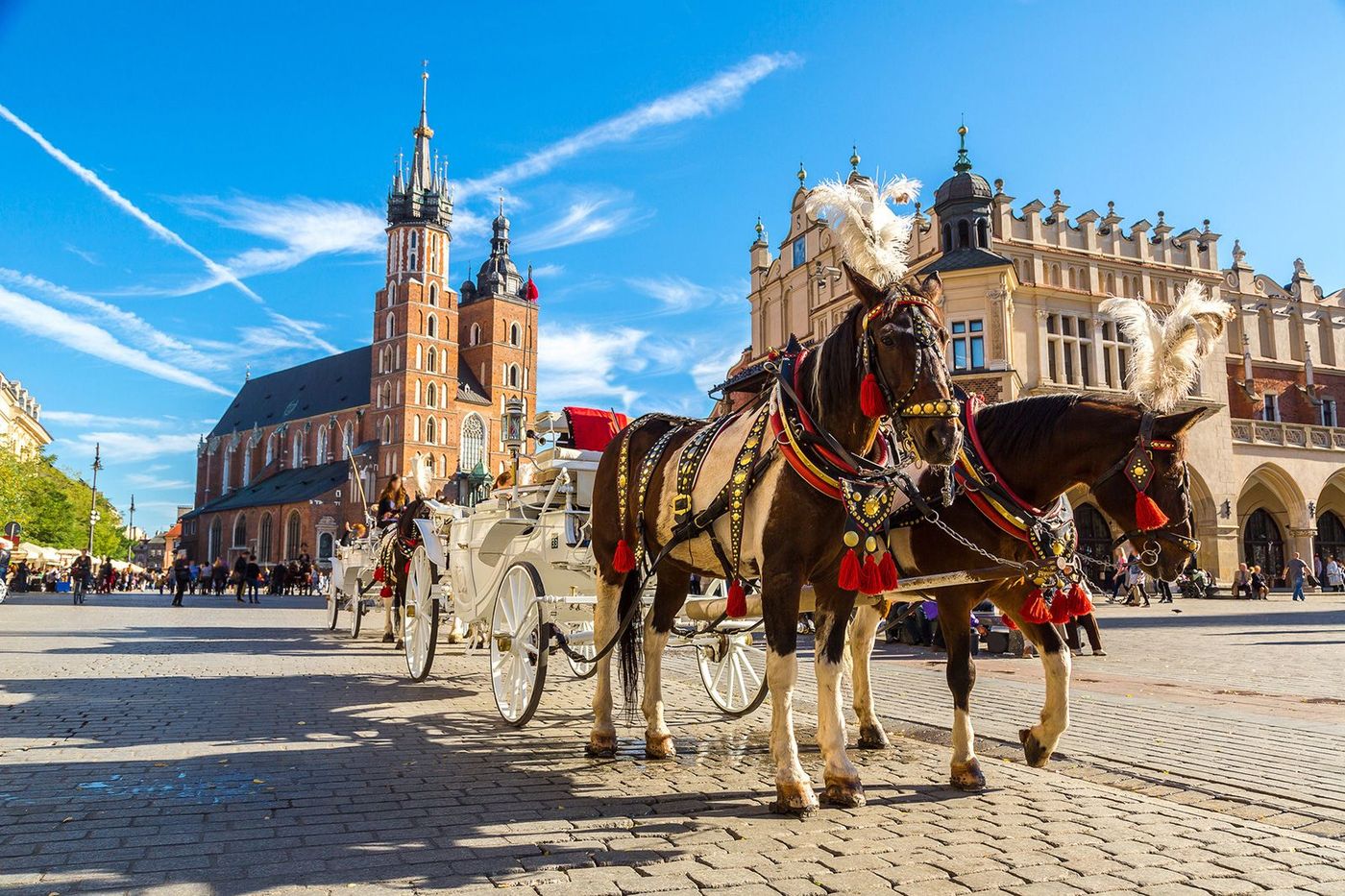 Pologne Cracovie