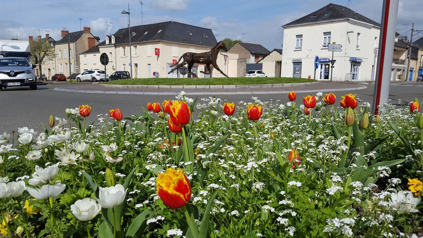 Craon Ville Fleurs