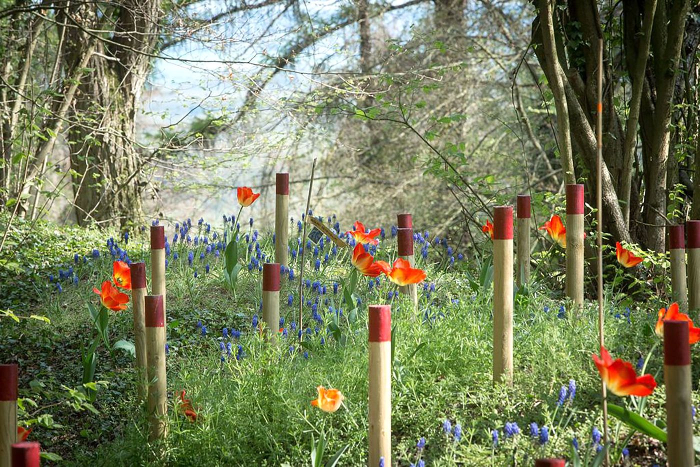 Craonne - jardin italien