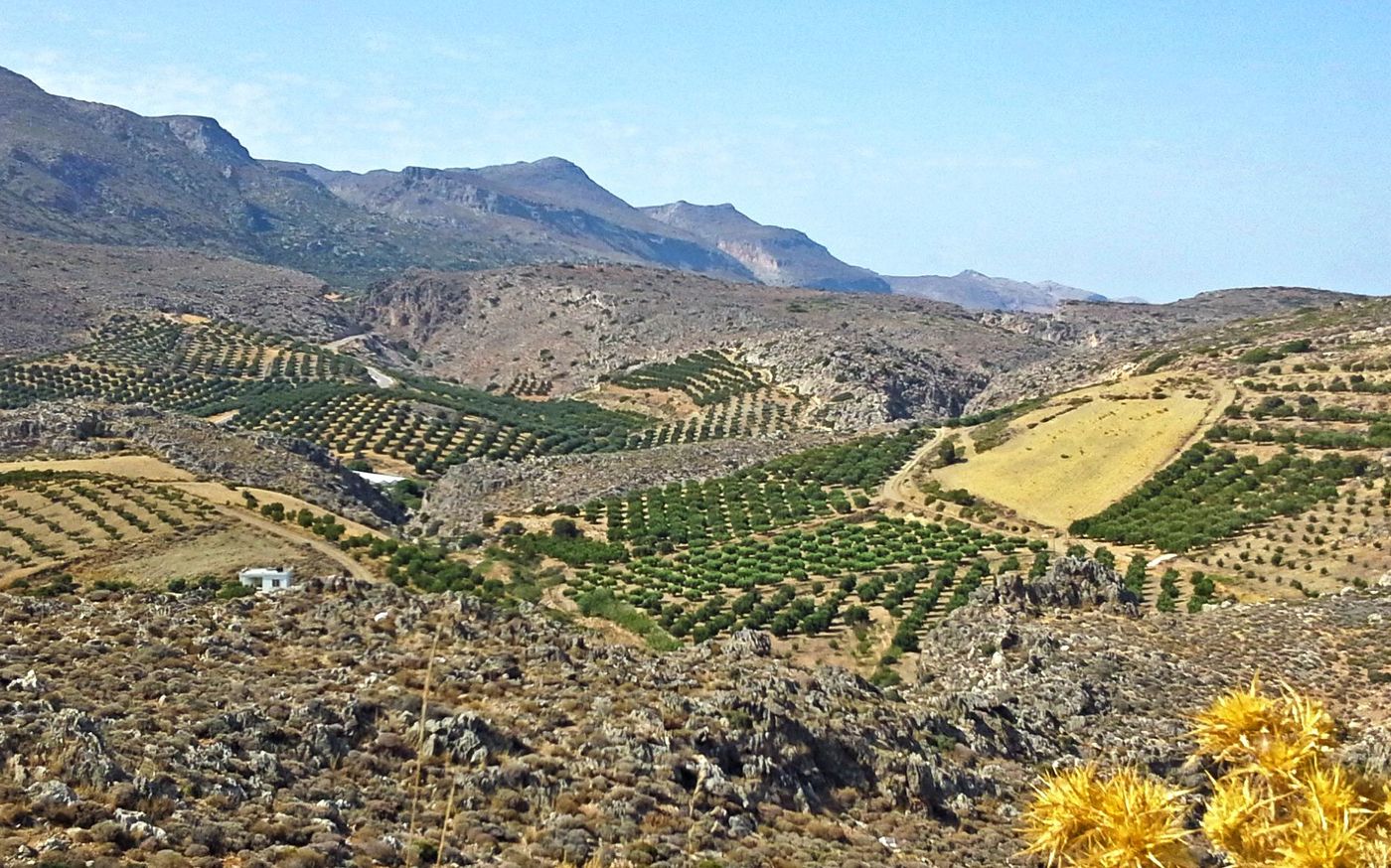 Grèce Crète