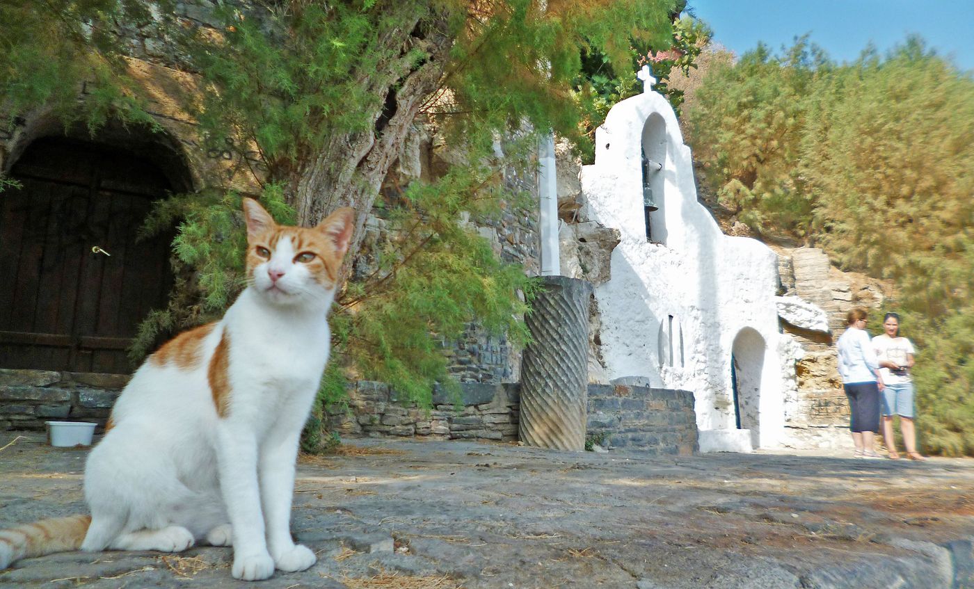 Grèce Crète Agios Nikolaos