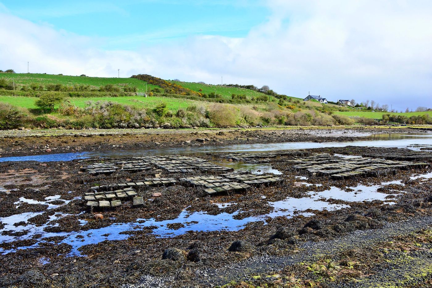 Croagh Patrick Seafoods