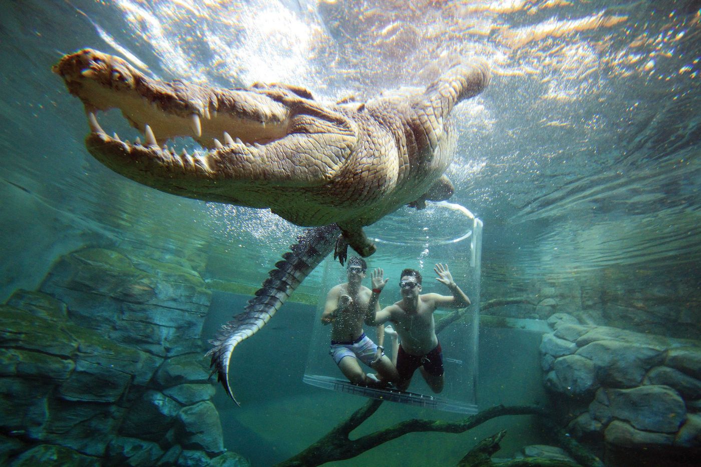 "Cage of Death", Crocosaurus Cove, Darwin