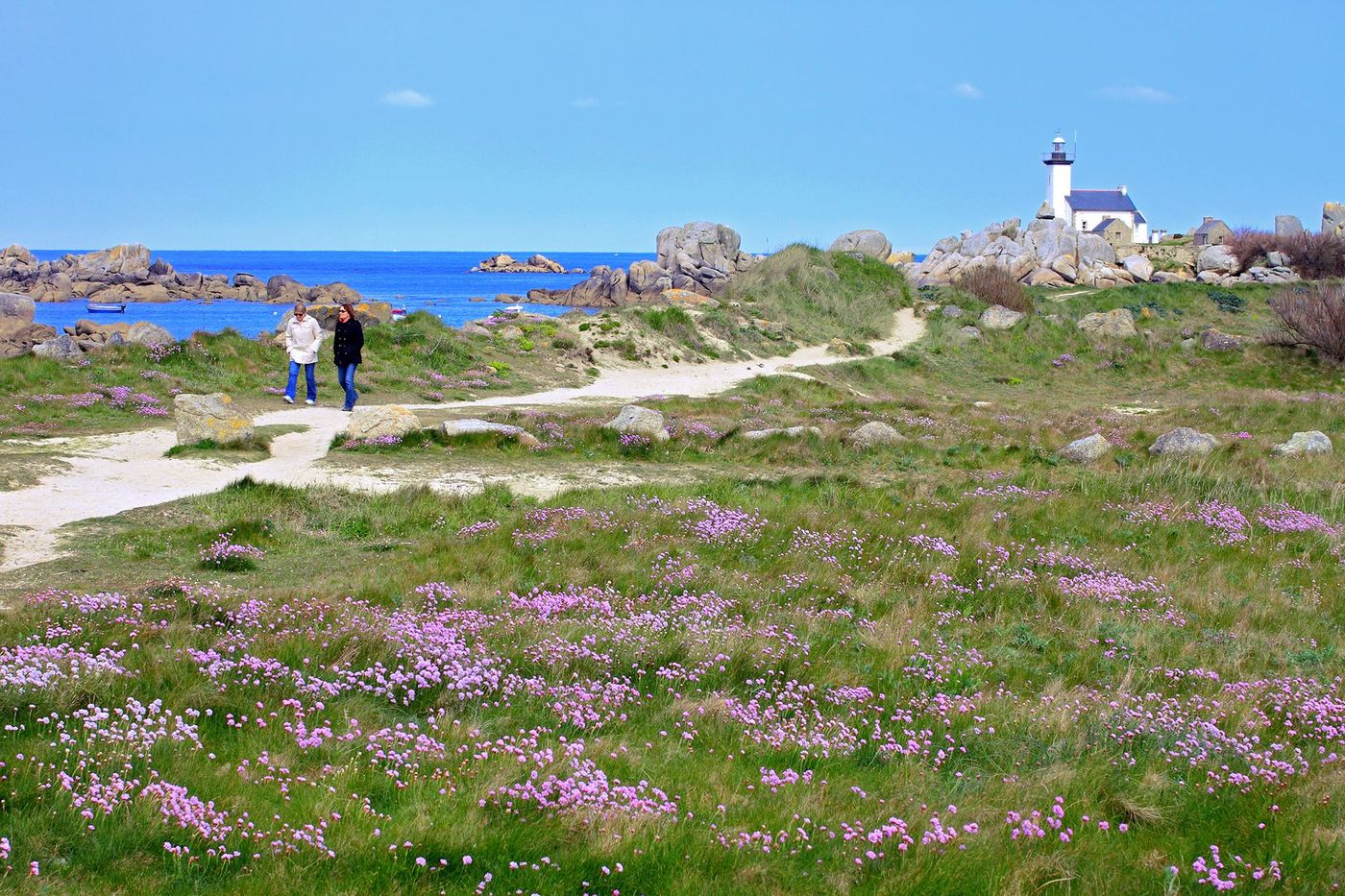 Paysage côtier