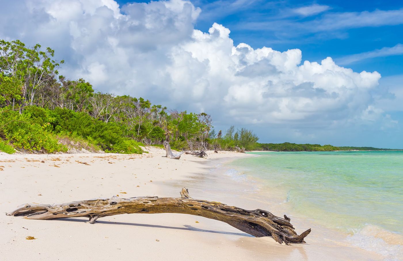 Cuba Cayo Coco