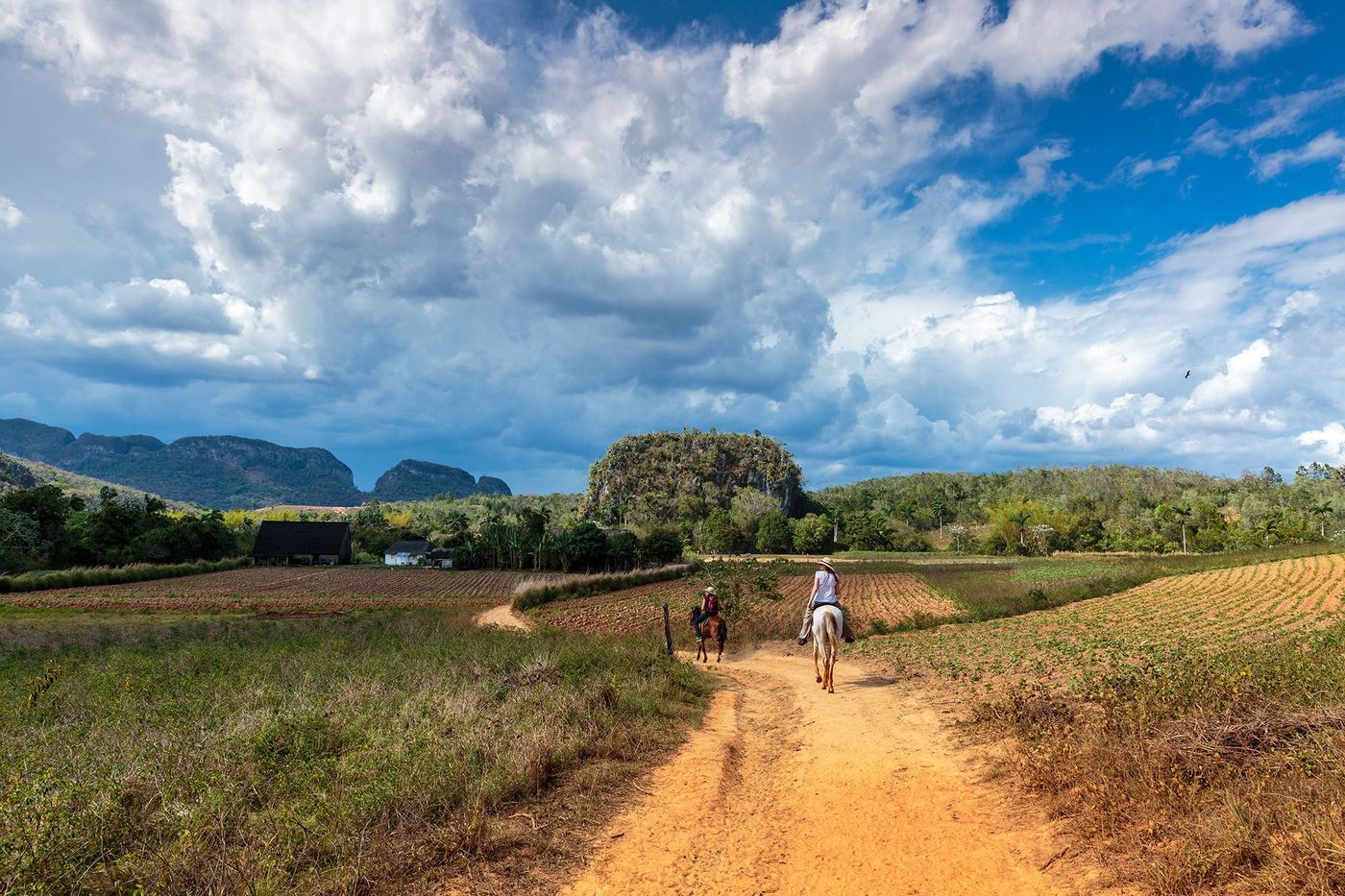 Cuba Vinales Randonnée à cheval