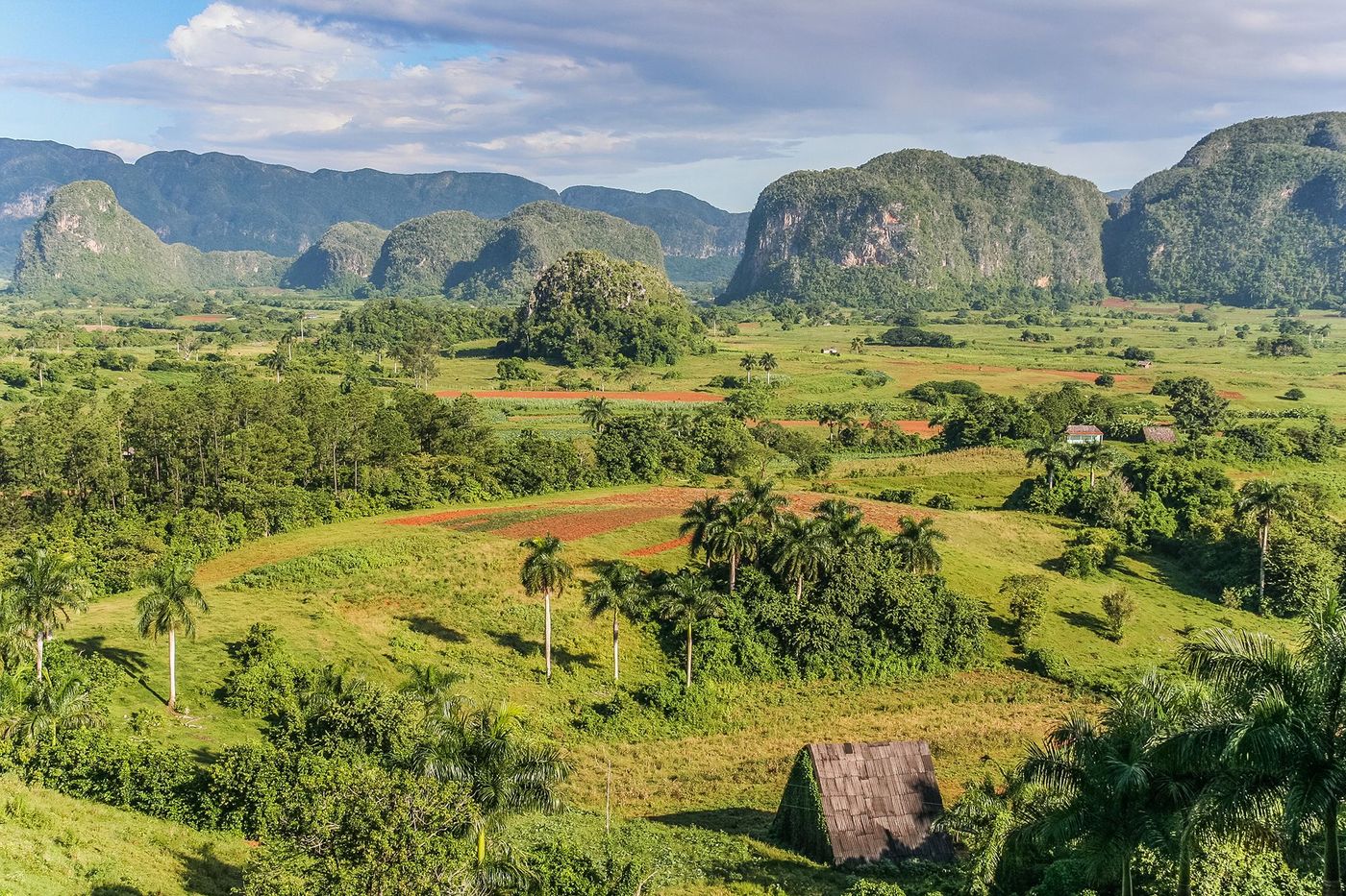 Cuba Vinales
