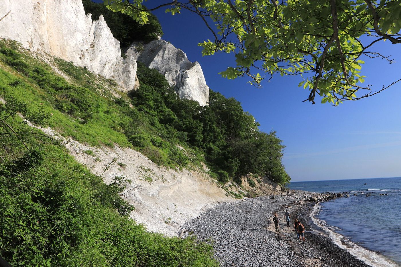 Danemark Mons Klint
