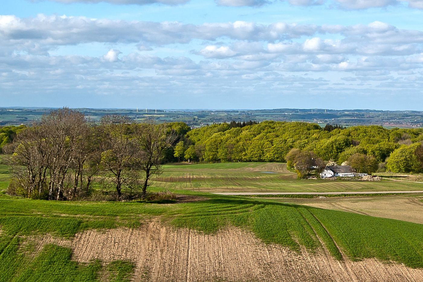 Danemark panorama depuis le Mollehoj
