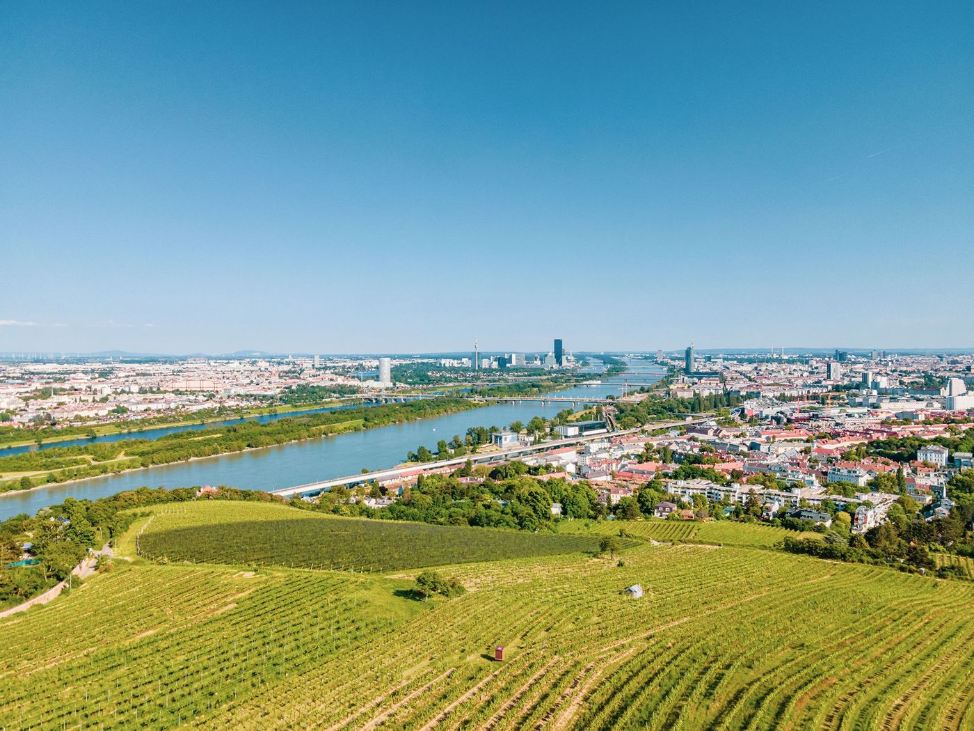 Danube depuis les vignes de Vienne