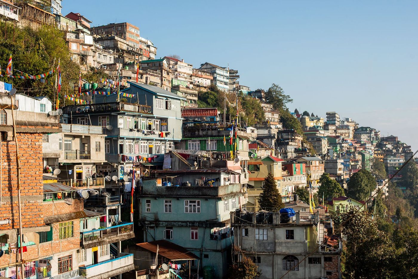 Darjeeling à flanc de colline