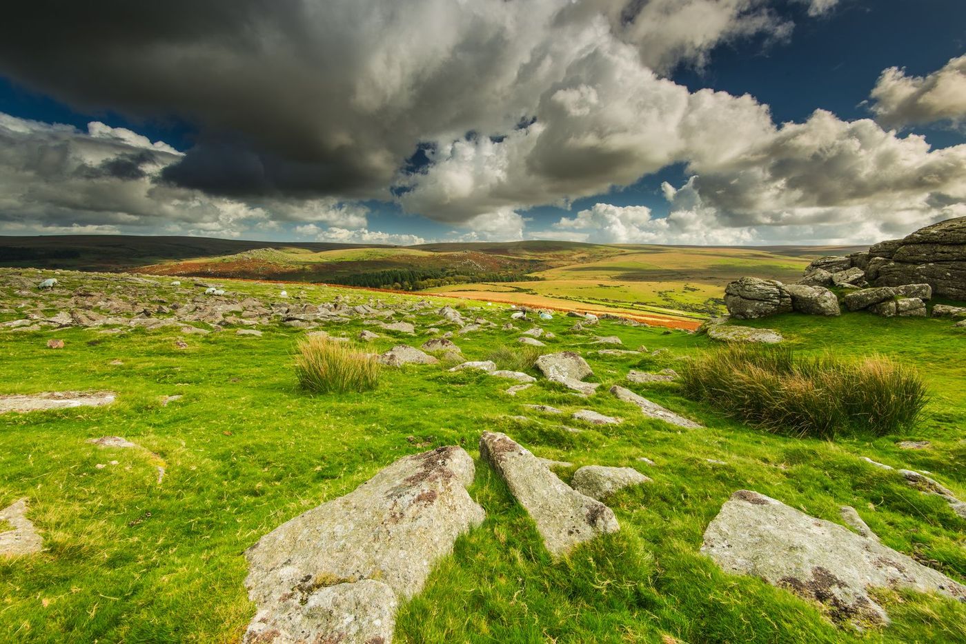 Angleterre Dartmoor