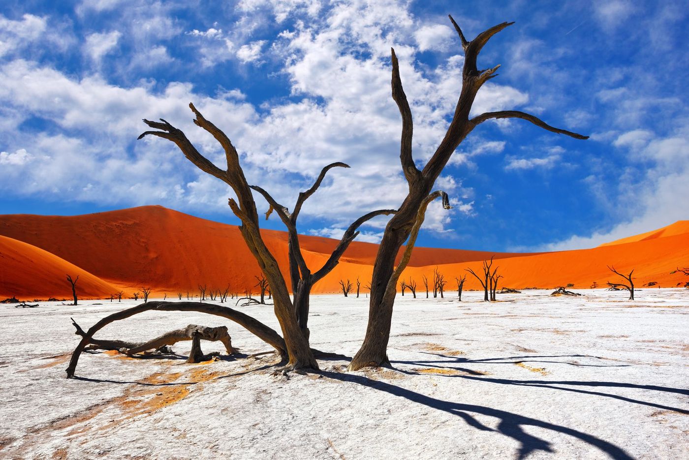 Deadvlei Desert Namibi