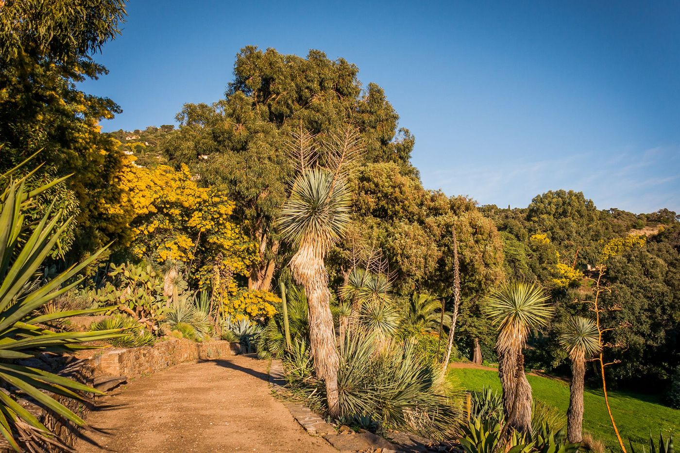 Domaine du Rayol - Rayol-Canadel-sur-Mer
