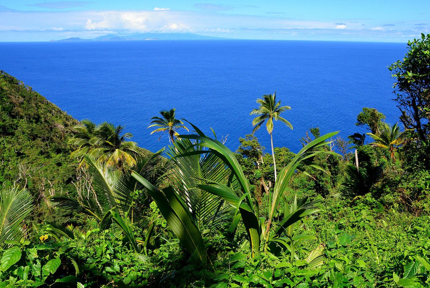 La Dominique Capuchin Trail