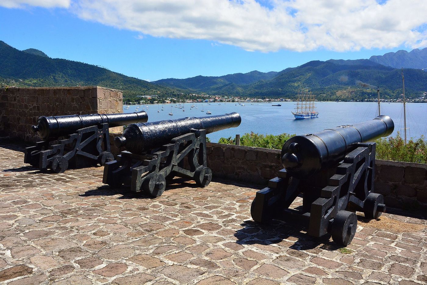 Dominique Fort Shirley