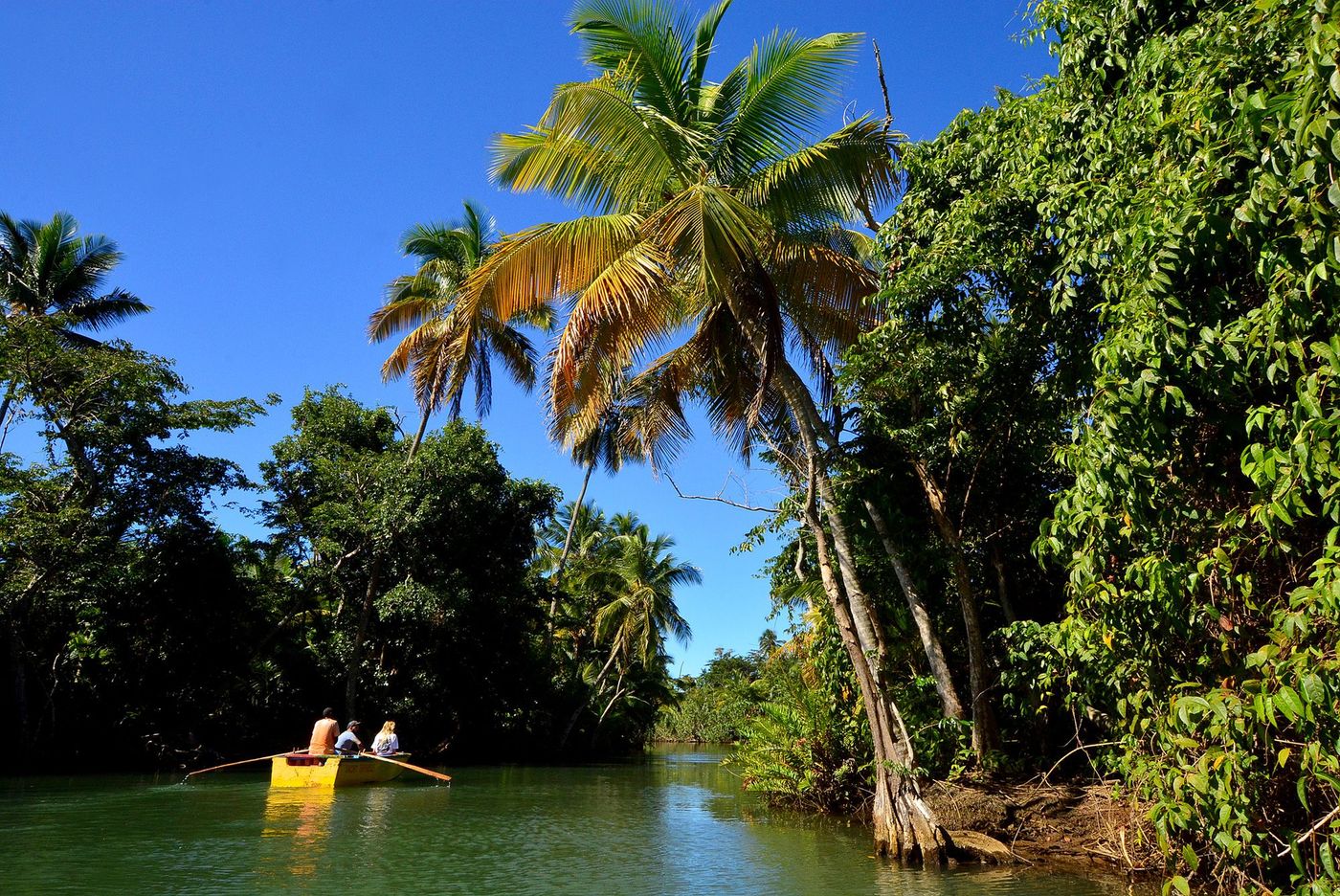 La Dominique Indian River