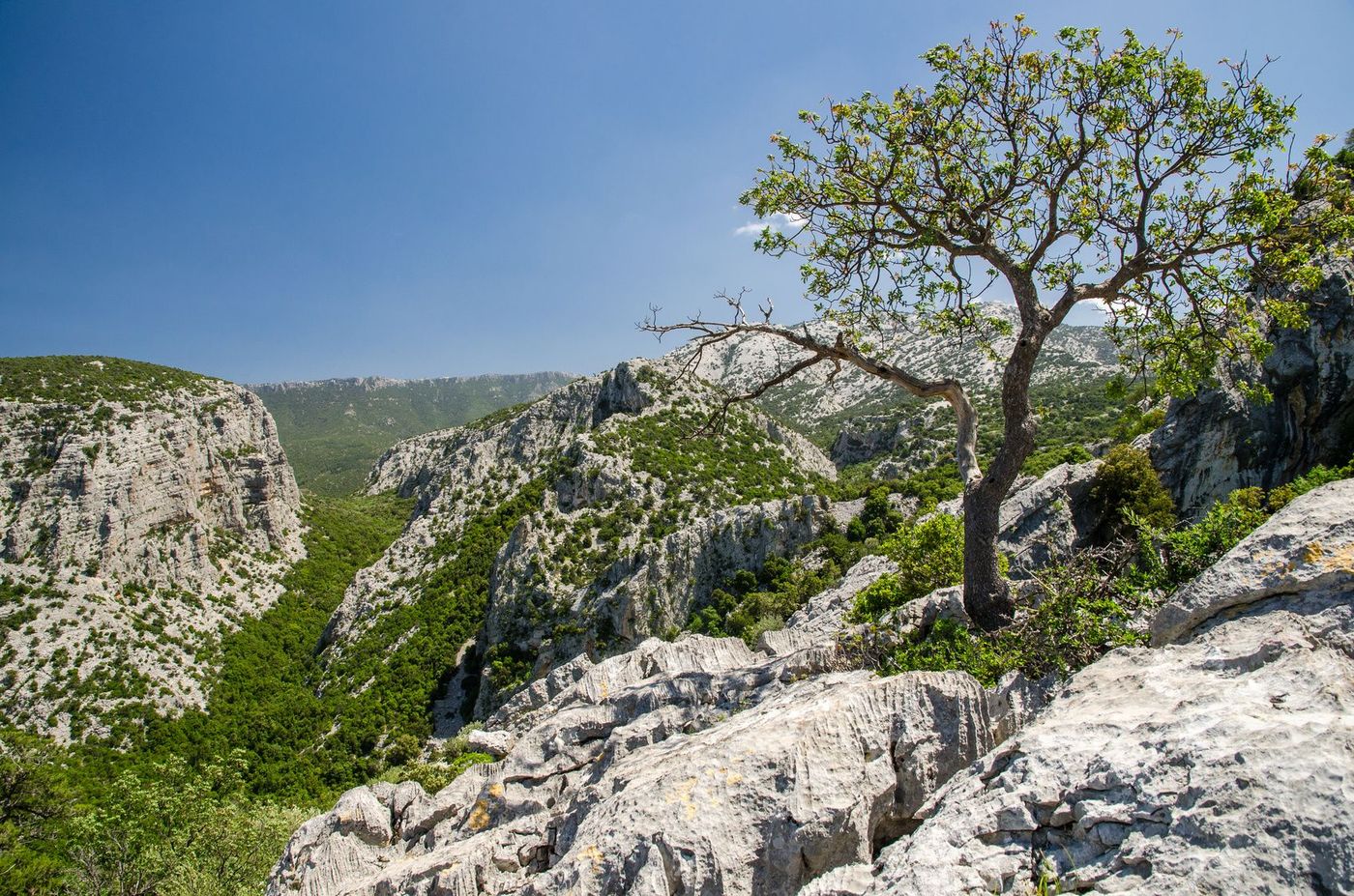 Sardaigne Supramonte. Entre Oliena and Dorgali.