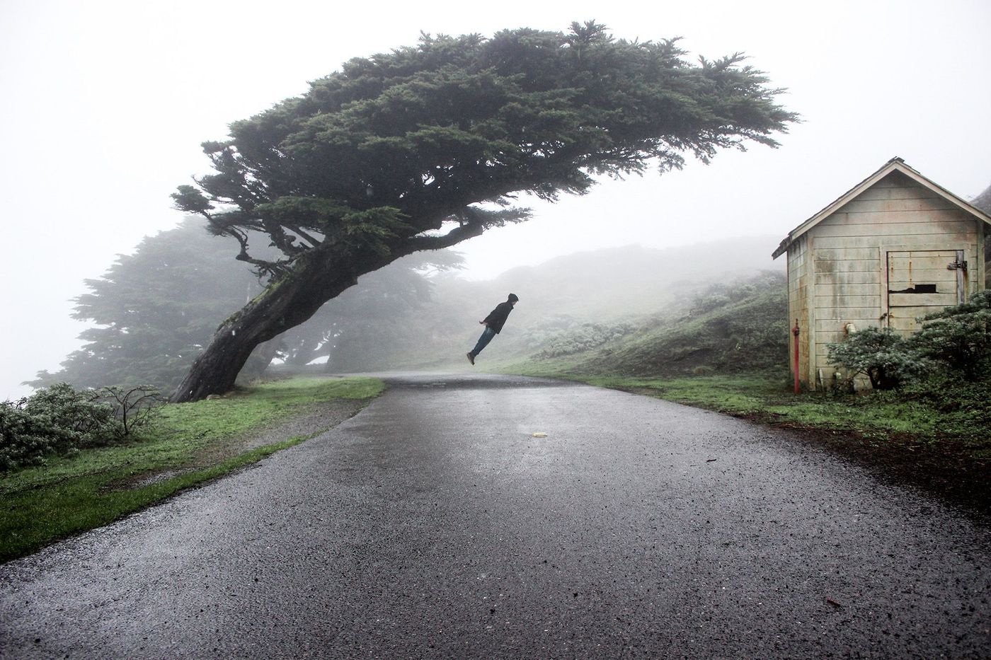 USA Point Reyes Californie