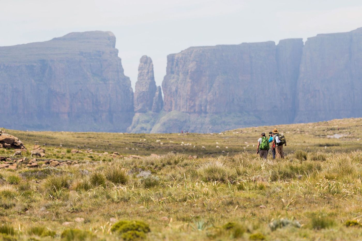 Drakensberg Plateau