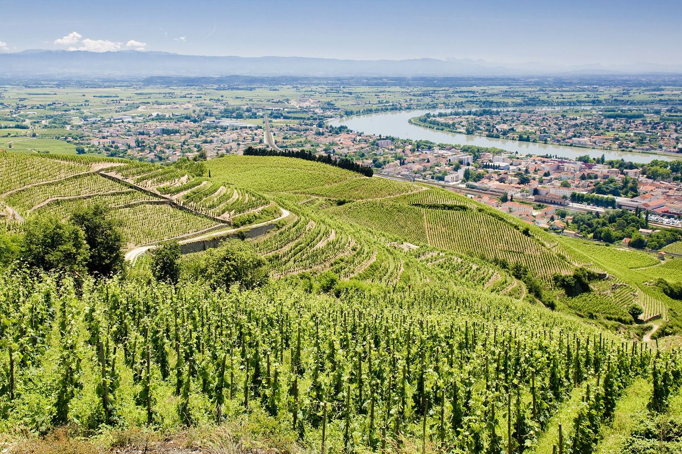 Tain-l'Hermitage