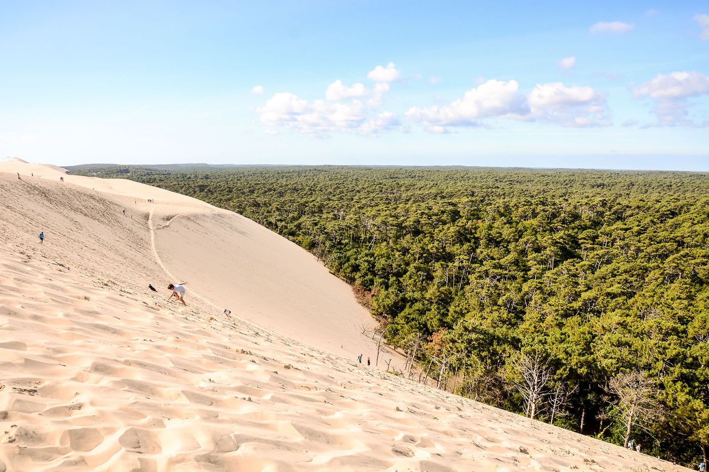Dune du Pilat