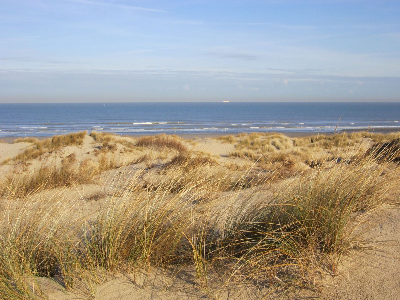 Dune Marchand Nord