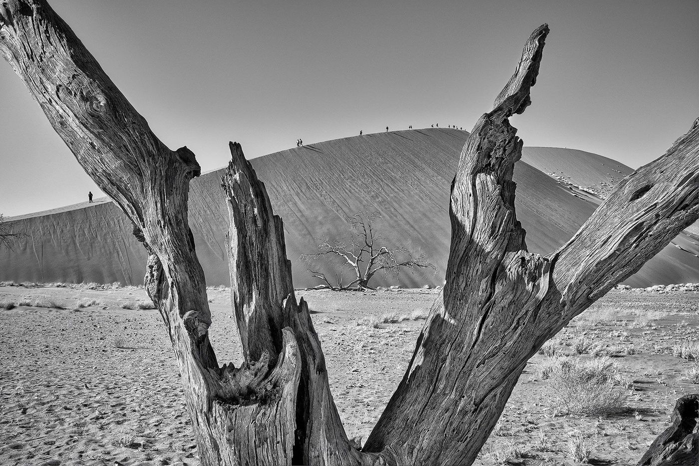 Namibie Désert du Namib Sossusvlei Dune 45