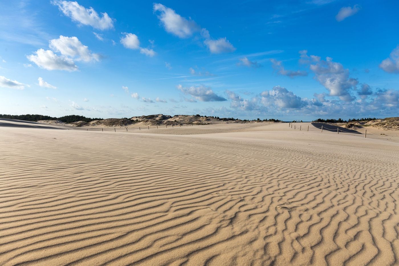Dunes du parc national de Słowiński