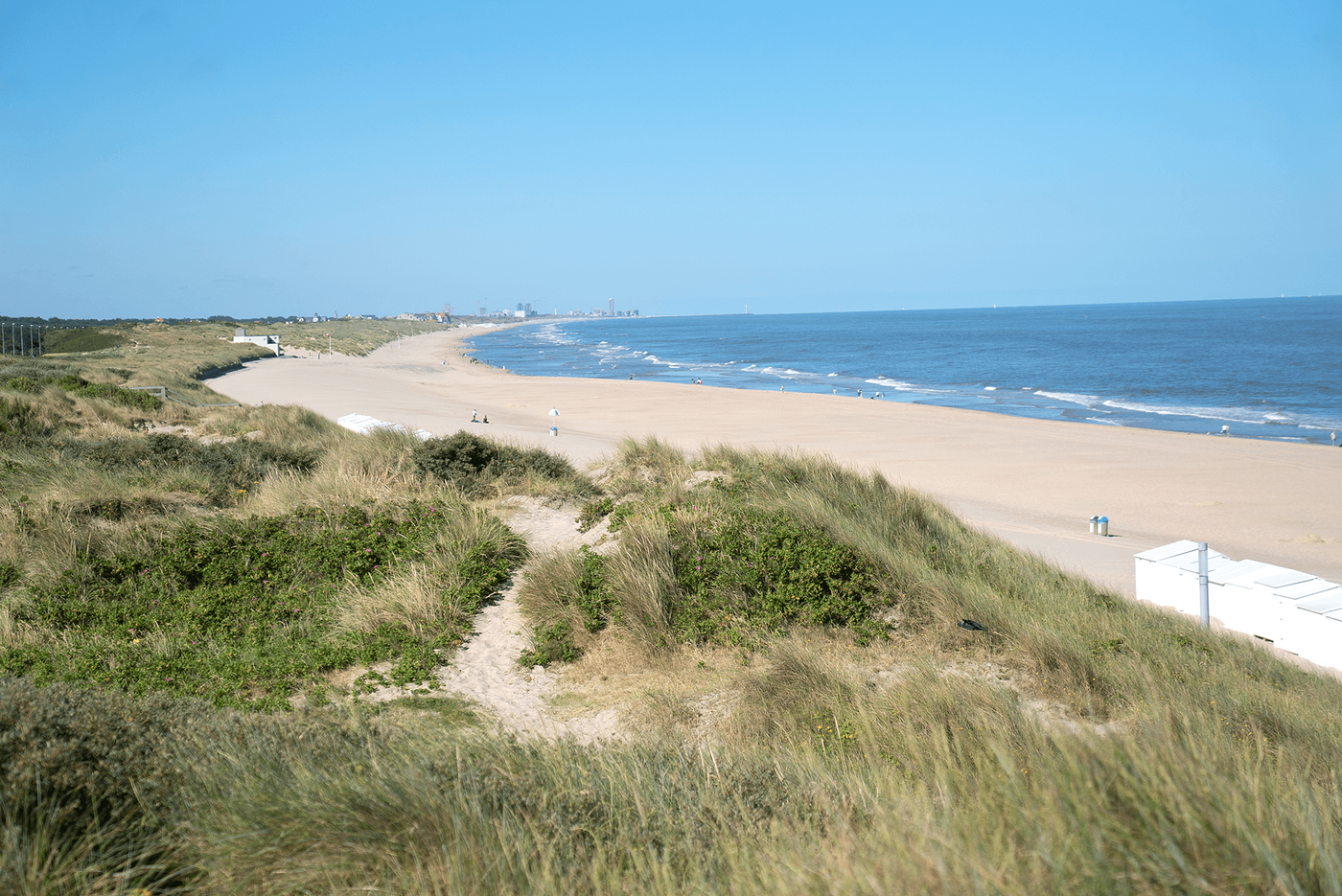 Dunes et plage de Wenduine