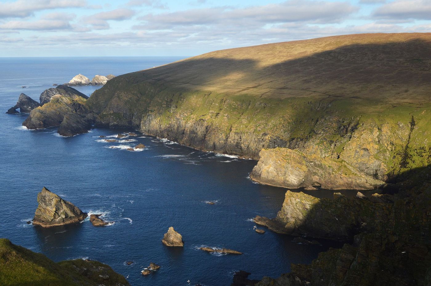 Ecosse Shetland Unst Hermaness
