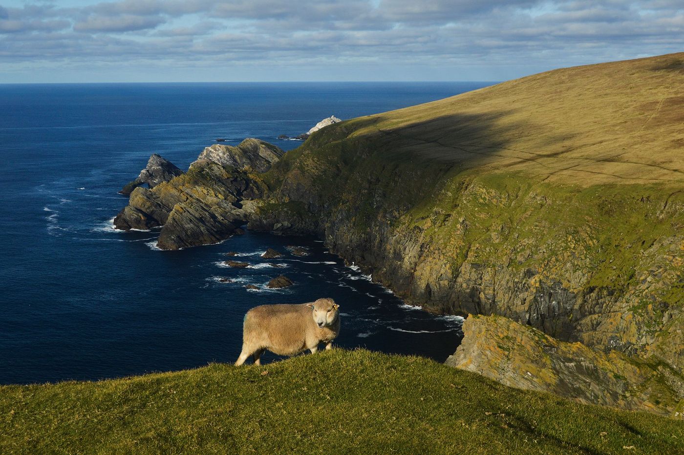 Ecosse Unst Hermaness
