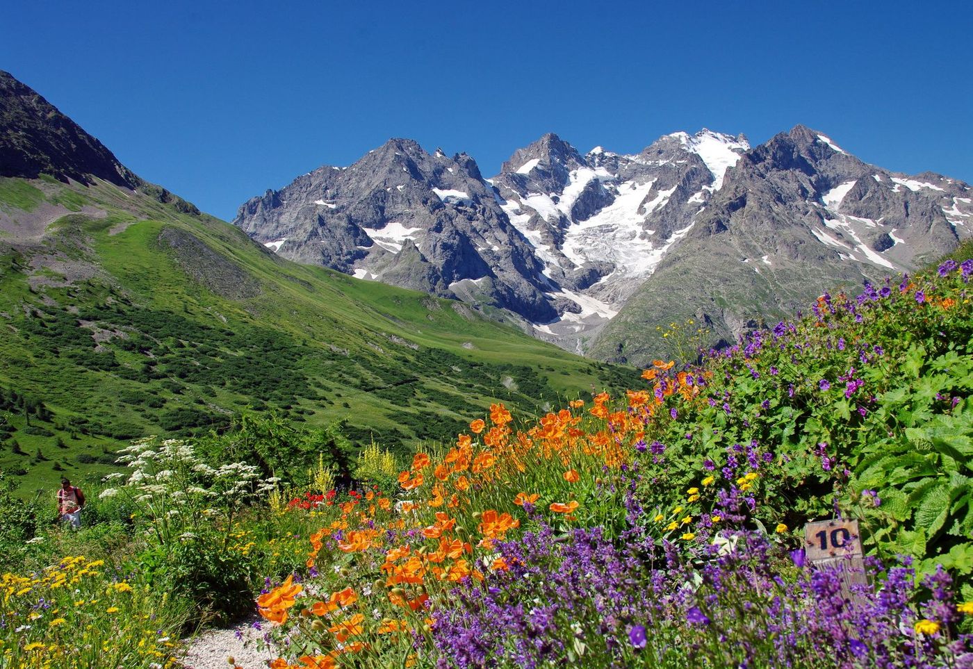 Alpes Parc des Ecrins