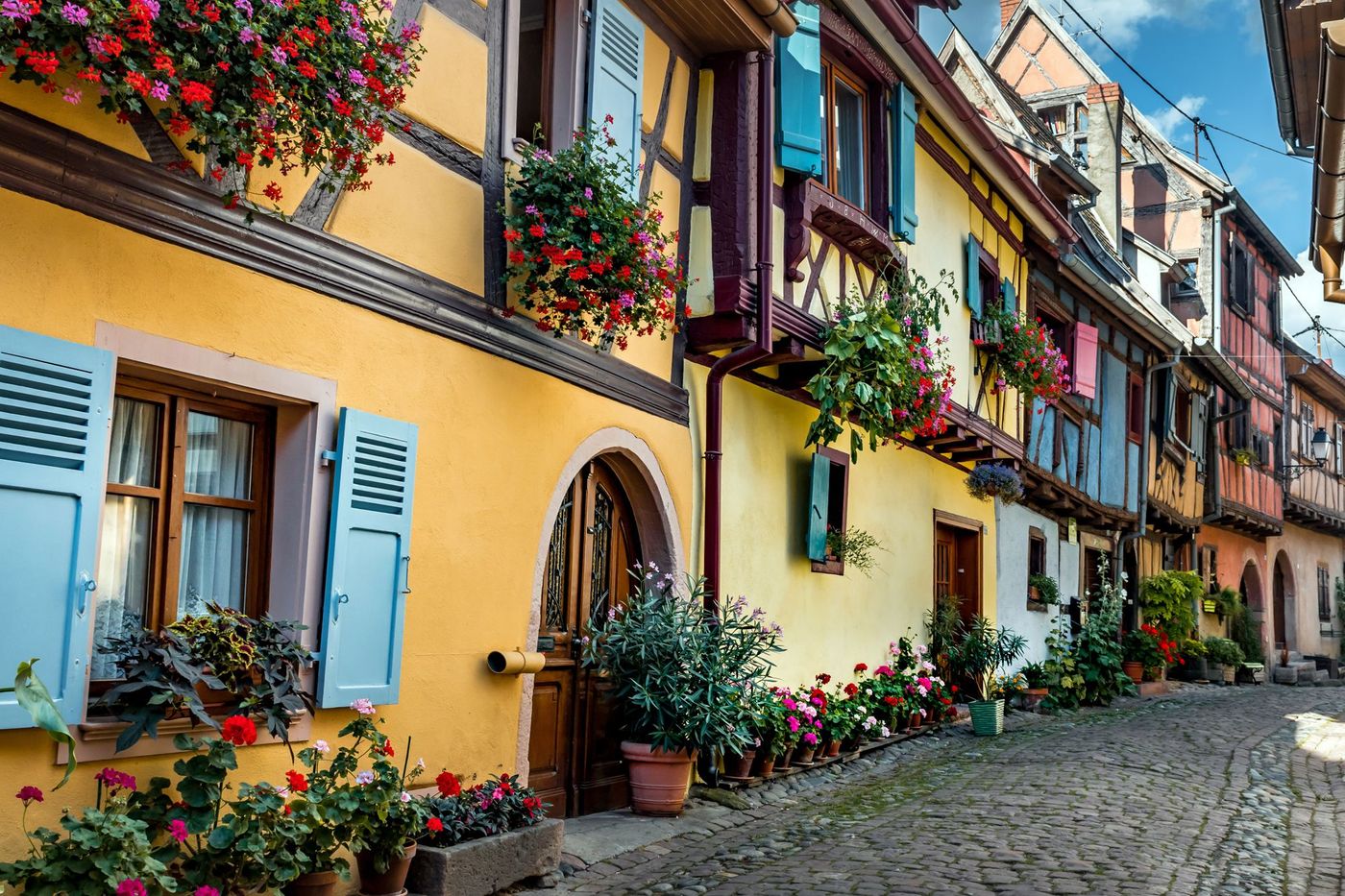 Eguisheim Fleurs Village