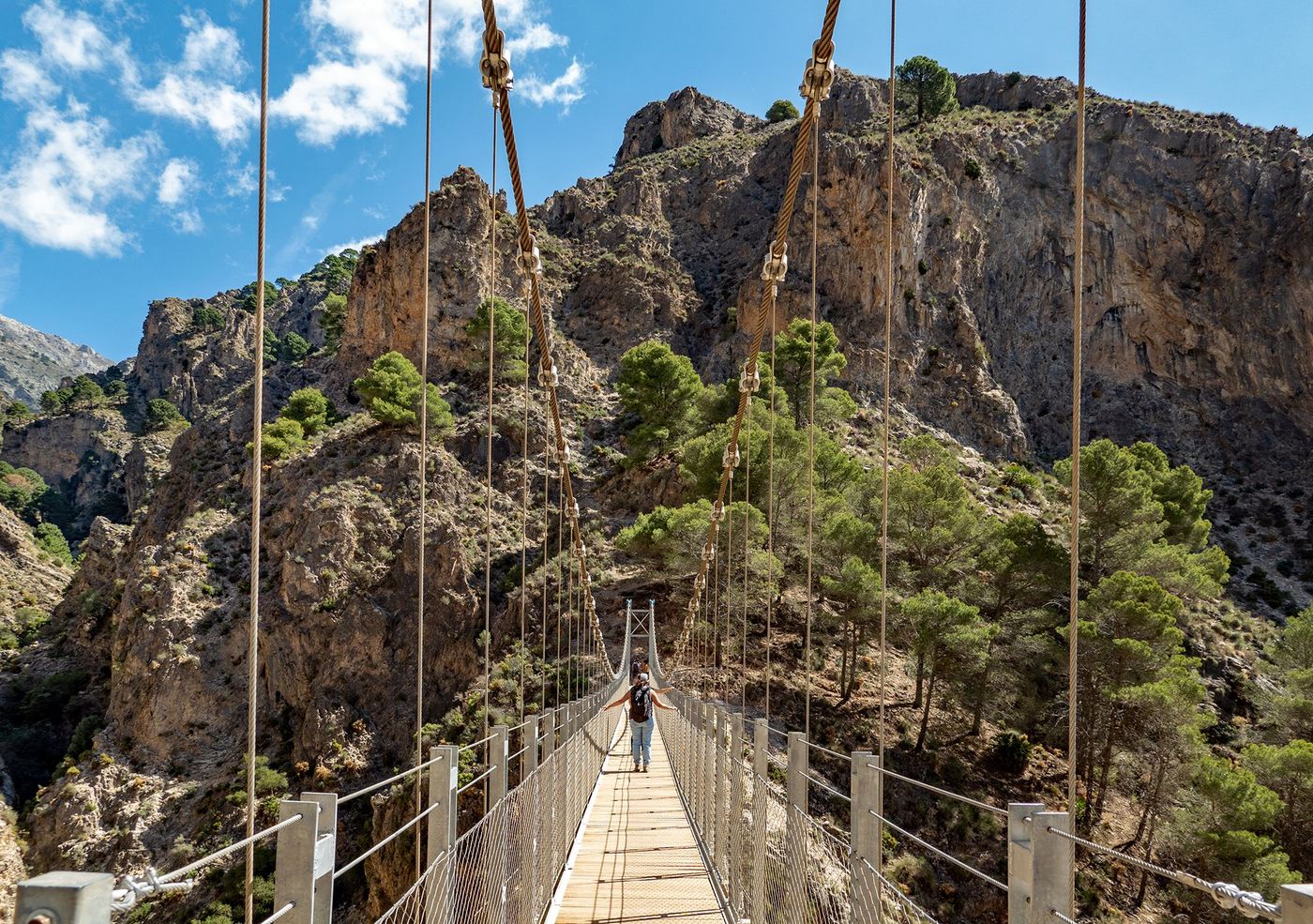 El Saltillo - pont suspendu