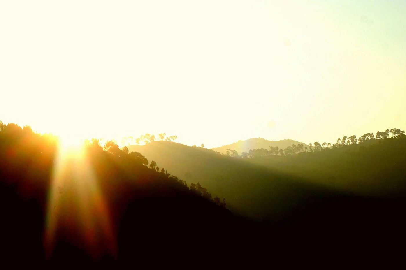 Népal Rivière de Makhali Le soleil se lève sur la jungle népalaise