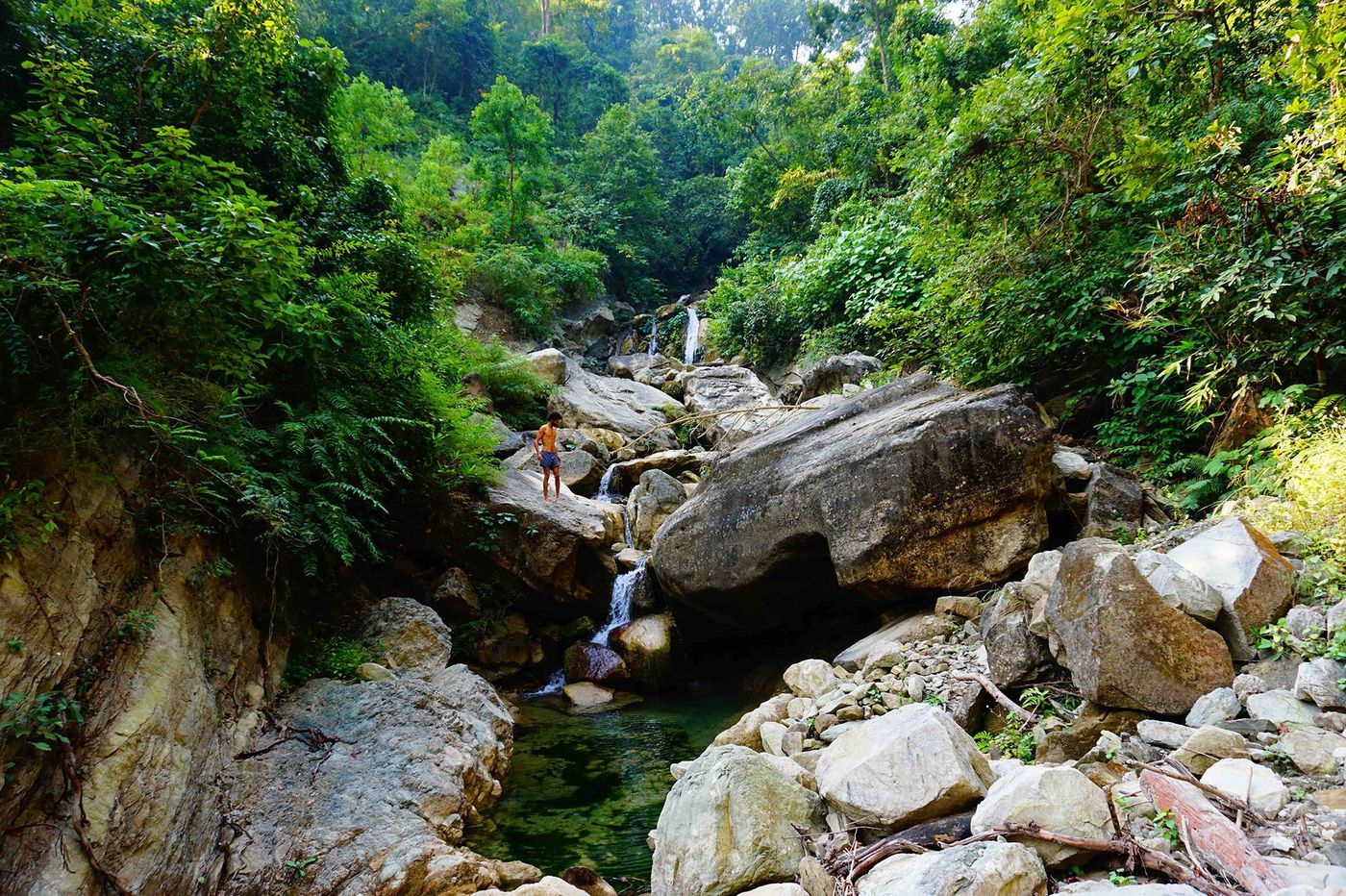 Népal Jungle