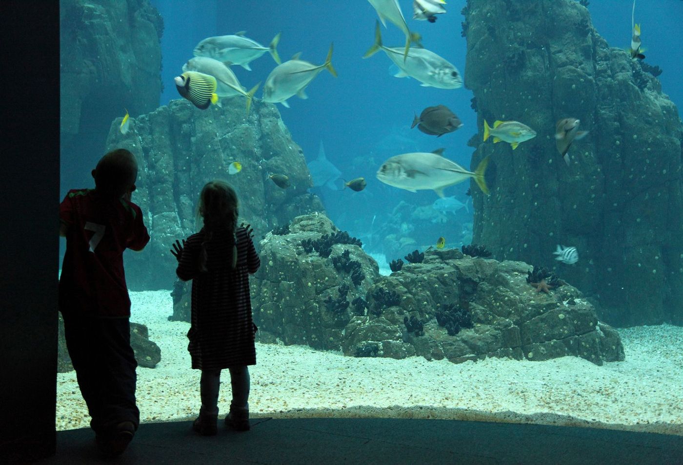 Portugal Lisbonne Aquarium Enfant