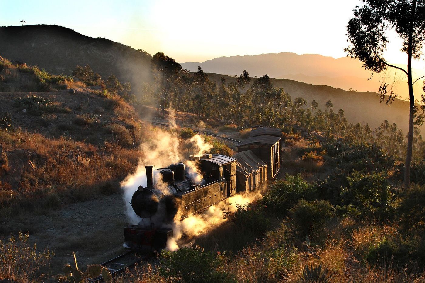 Érythrée Train Eritrean Railway