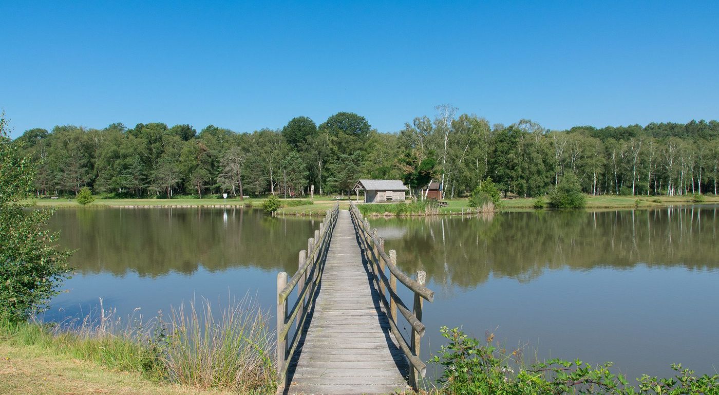 Etang de l'Aquiaulne