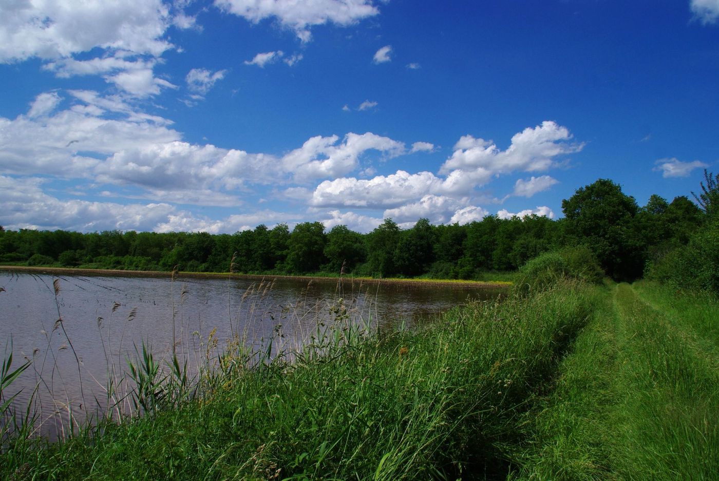 Etang Dombes Rhones Alpes